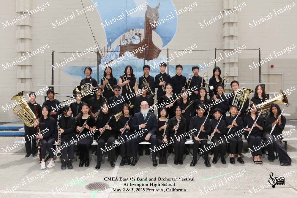 Musical Images